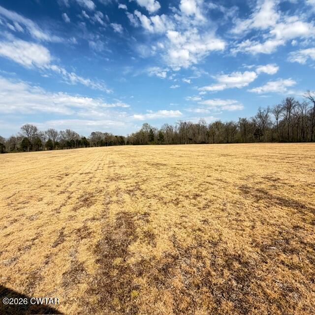 0 Bobbitt Road Medina, TN 38355 - Photo 24 of 39 IMG_6272