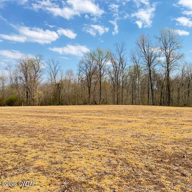 0 Bobbitt Road Medina, TN 38355 - Photo 25 of 39 IMG_6276