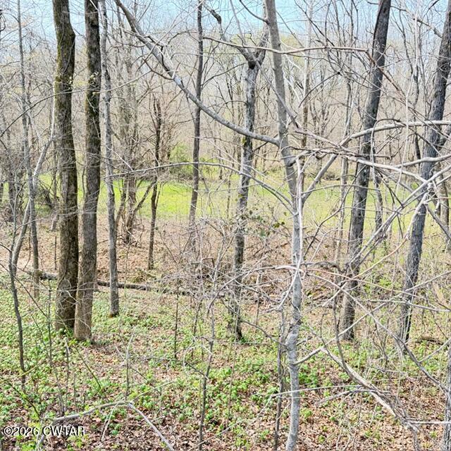 0 Bobbitt Road Medina, TN 38355 - Photo 26 of 39 IMG_6279