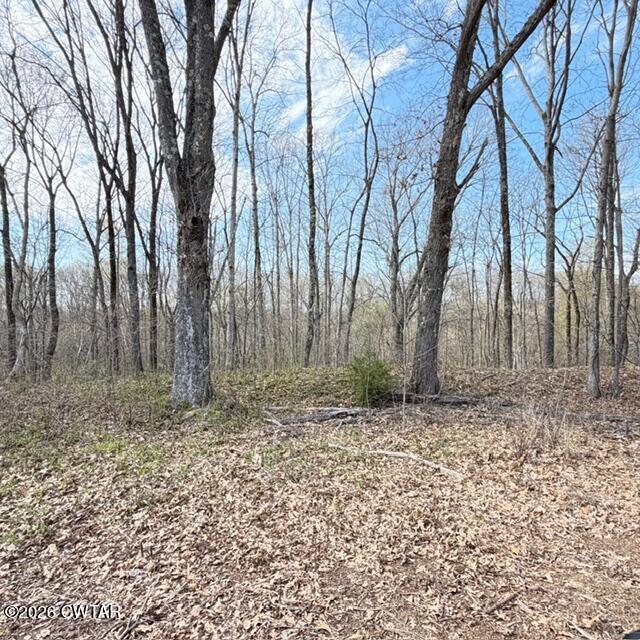 0 Bobbitt Road Medina, TN 38355 - Photo 27 of 39 IMG_6282