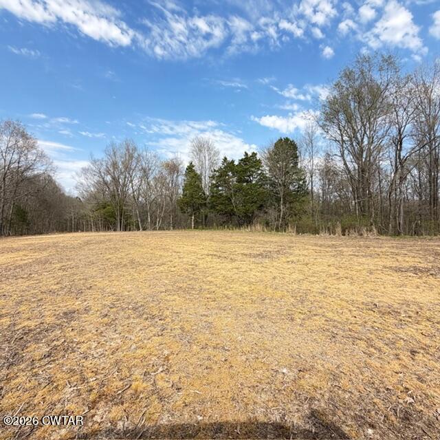 0 Bobbitt Road Medina, TN 38355 - Photo 28 of 39 IMG_6285