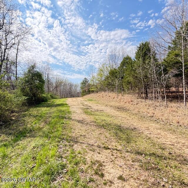 0 Bobbitt Road Medina, TN 38355 - Photo 29 of 39 IMG_6233
