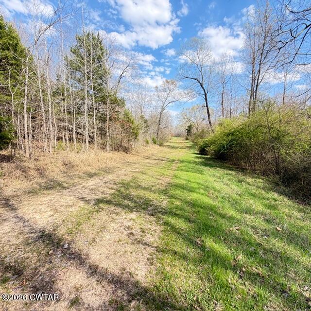 0 Bobbitt Road Medina, TN 38355 - Photo 30 of 39 IMG_6235