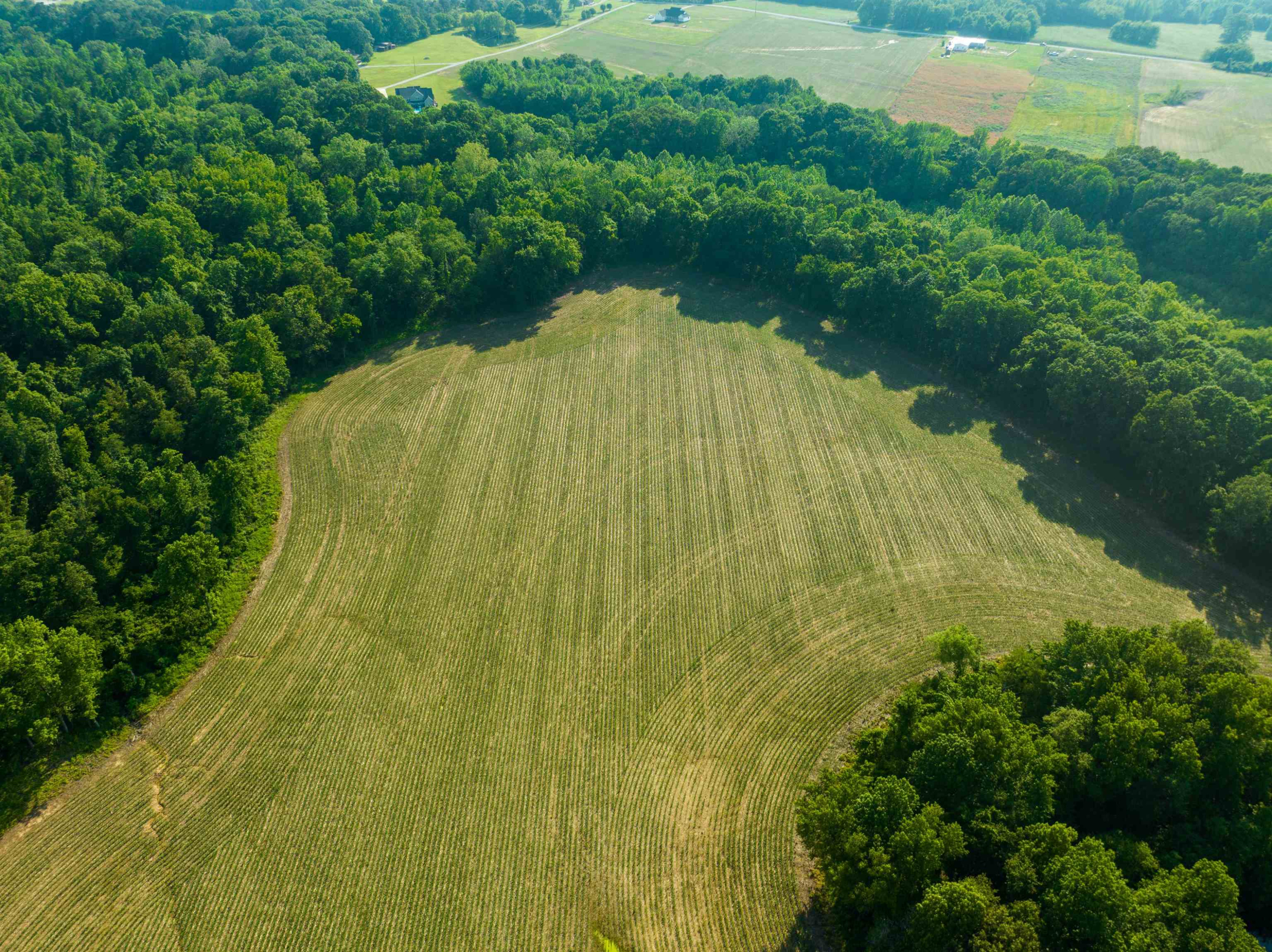 0 Bobbitt Road Medina, TN 38355 - Photo 3 of 39 Photo 3