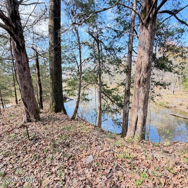 0 Bobbitt Road Medina, TN 38355 - Photo 31 of 39 IMG_6239