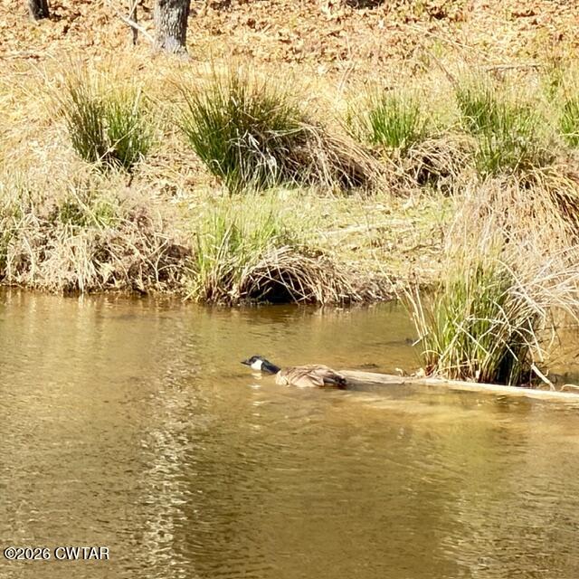 0 Bobbitt Road Medina, TN 38355 - Photo 32 of 39 IMG_6243