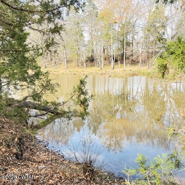 0 Bobbitt Road Medina, TN 38355 - Photo 33 of 39 IMG_6247