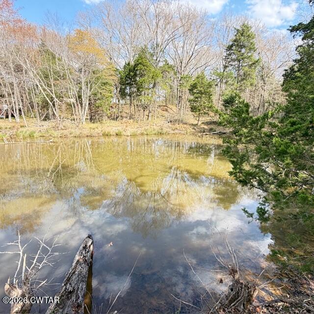 0 Bobbitt Road Medina, TN 38355 - Photo 34 of 39 IMG_6249