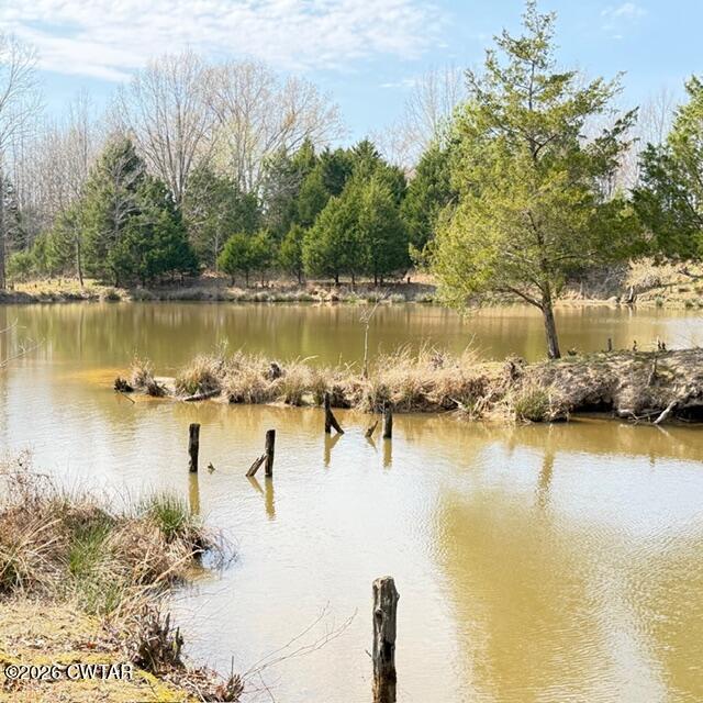 0 Bobbitt Road Medina, TN 38355 - Photo 35 of 39 IMG_6250