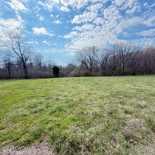 0 Bobbitt Road Medina, TN 38355 - Photo 36 of 39 IMG_6221