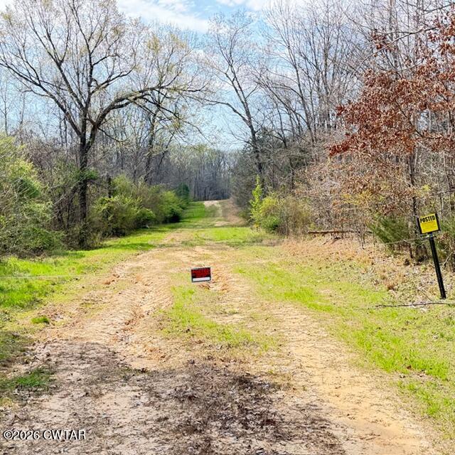 0 Bobbitt Road Medina, TN 38355 - Photo 37 of 39 IMG_6225