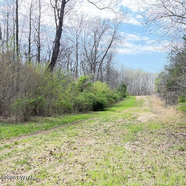 0 Bobbitt Road Medina, TN 38355 - Photo 38 of 39 IMG_6230