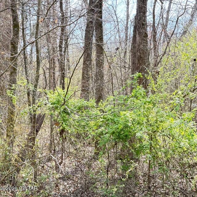 0 Bobbitt Road Medina, TN 38355 - Photo 39 of 39 IMG_6231