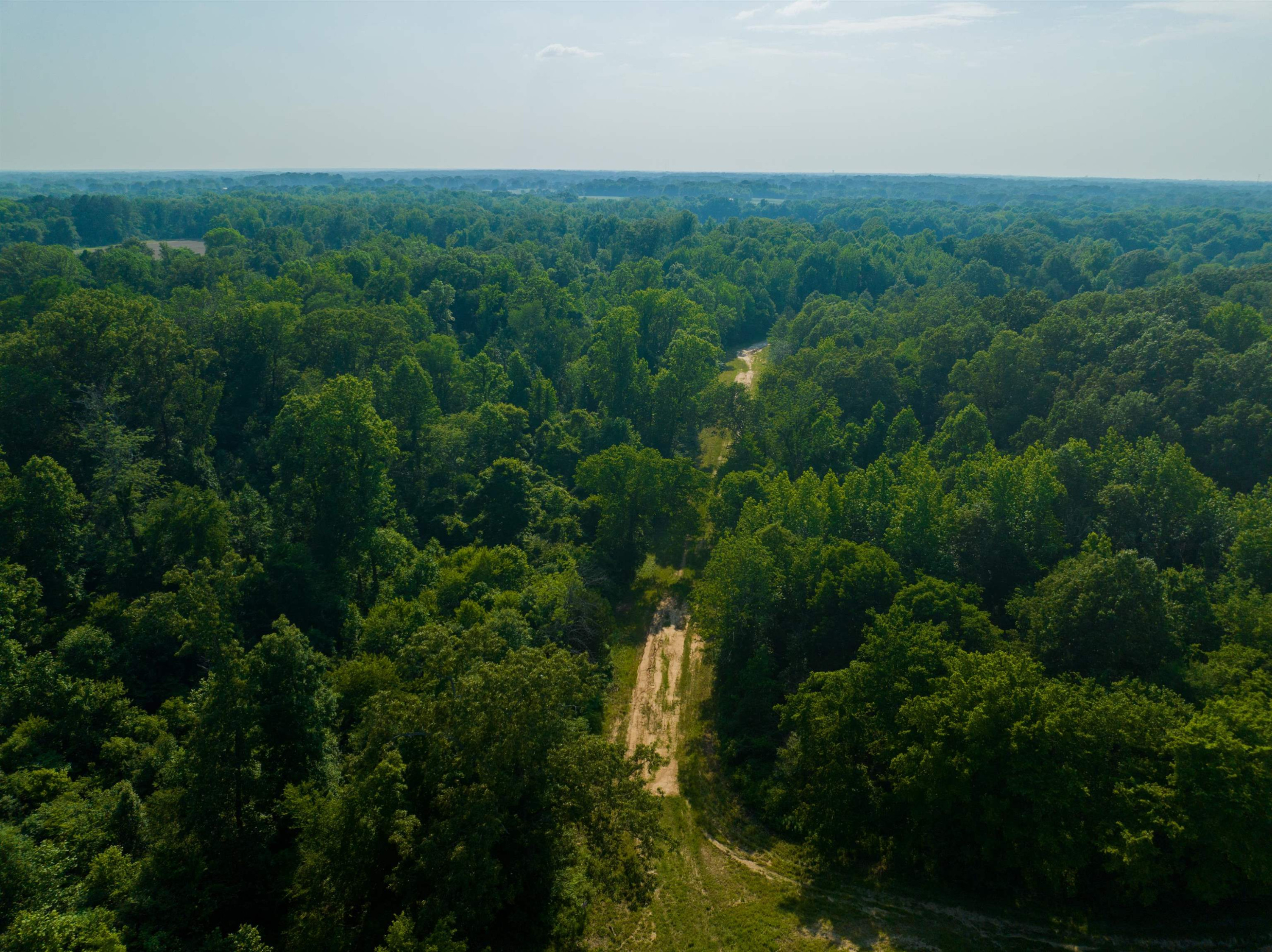 0 Bobbitt Road Medina, TN 38355 - Photo 4 of 39 Photo 4