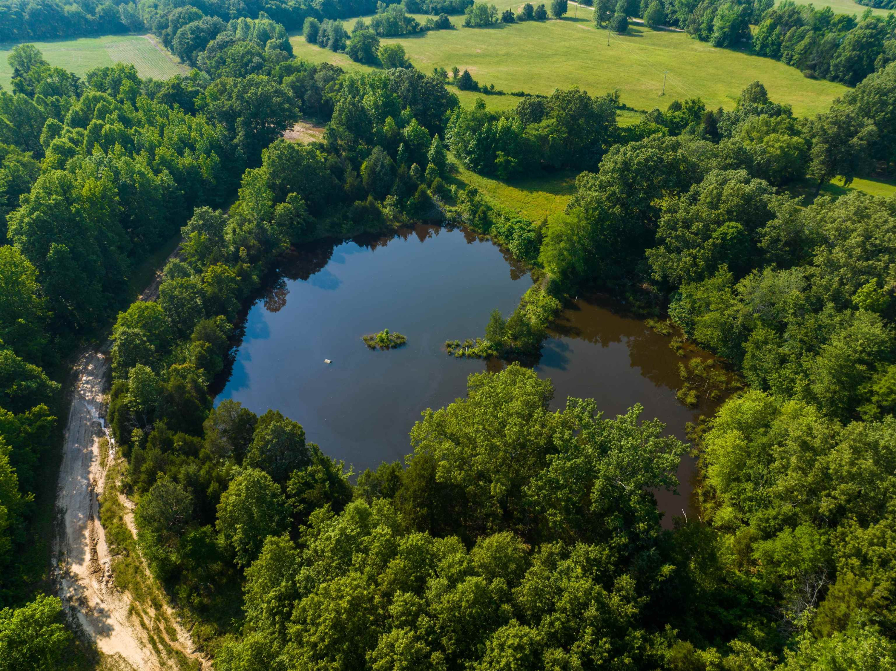 0 Bobbitt Road Medina, TN 38355 - Photo 6 of 39 Photo 6