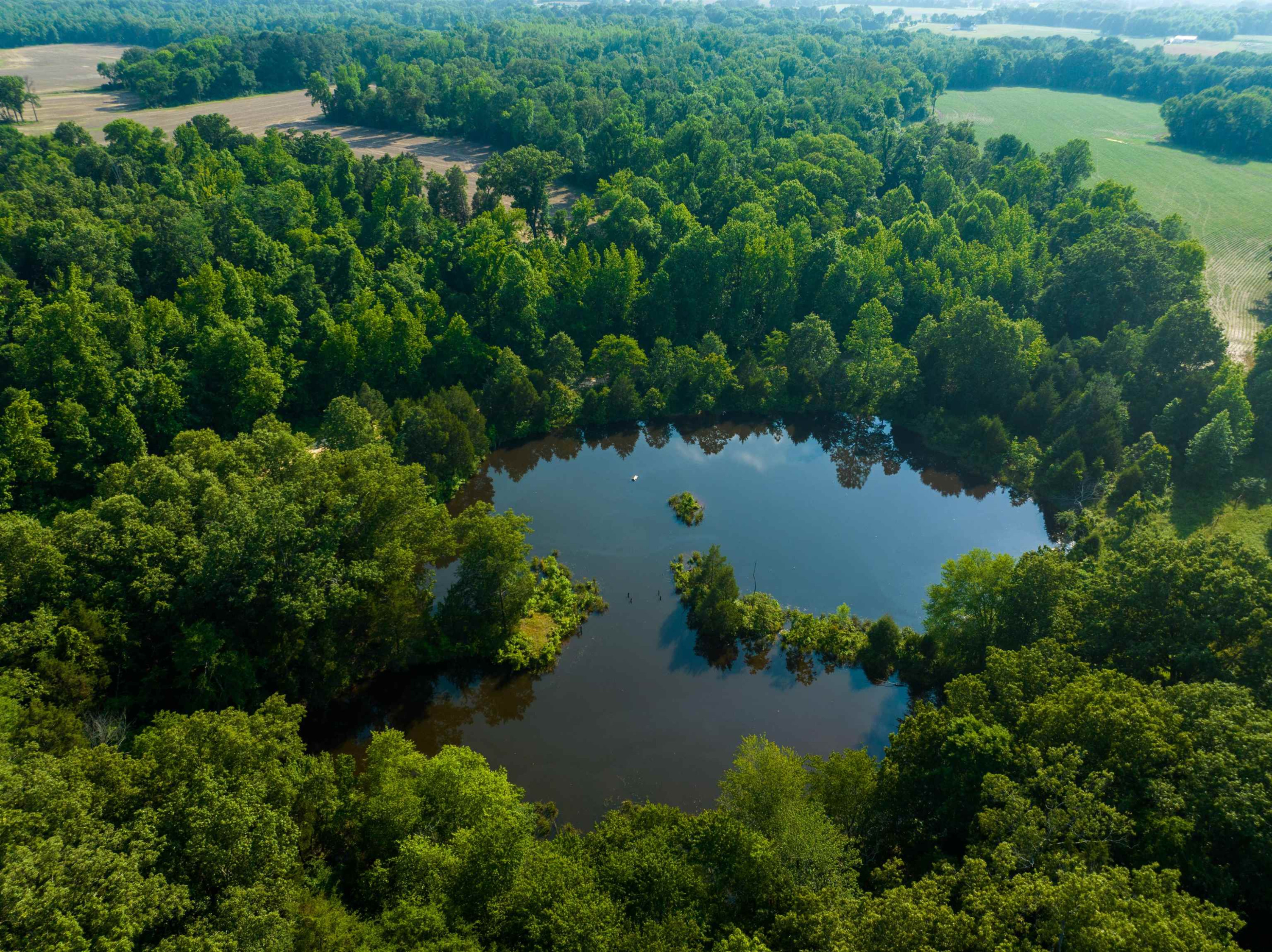 0 Bobbitt Road Medina, TN 38355 - Photo 7 of 39 Photo 7