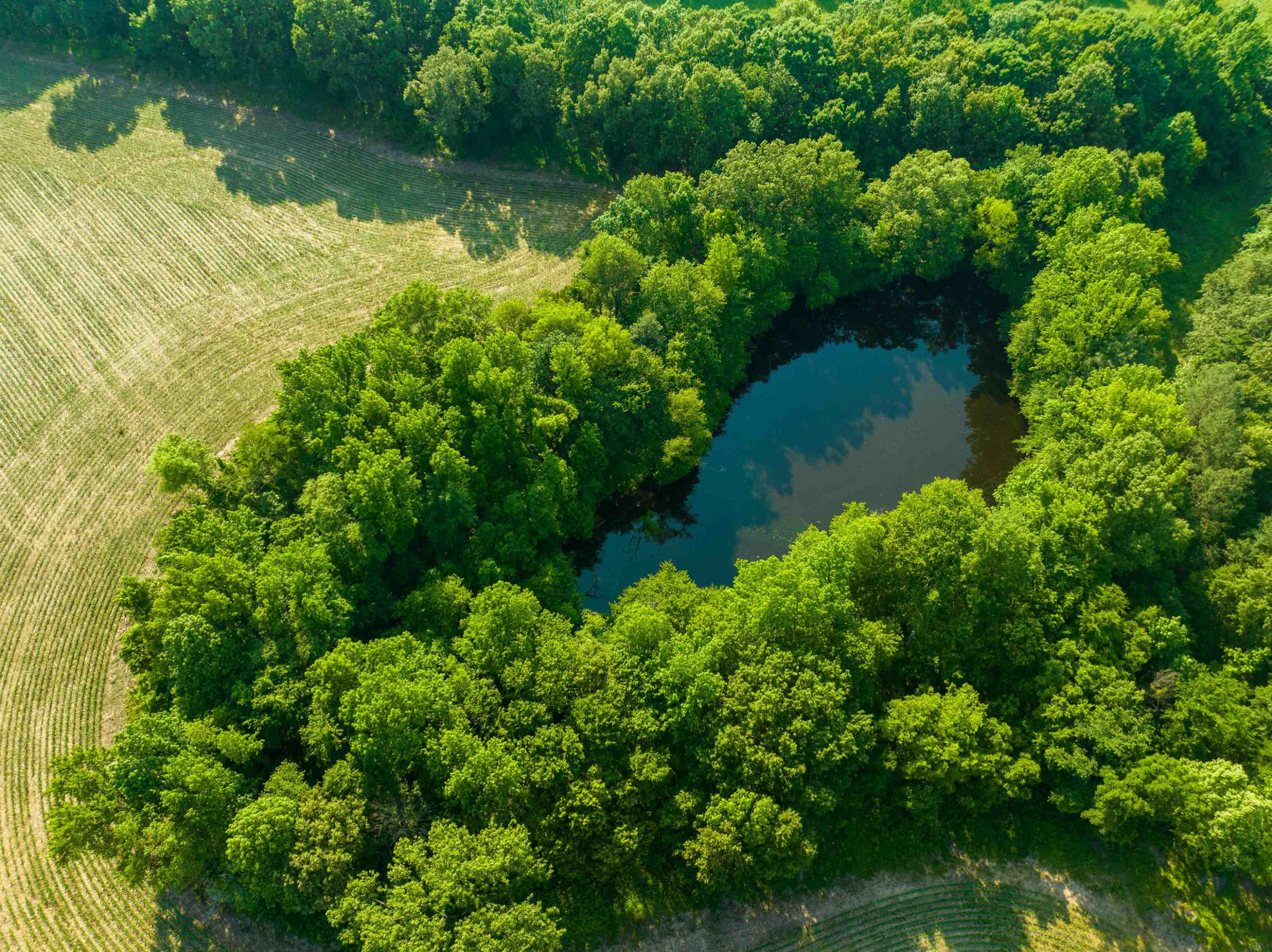 0 Bobbitt Road Medina, TN 38355 - Photo 9 of 39 Photo 9