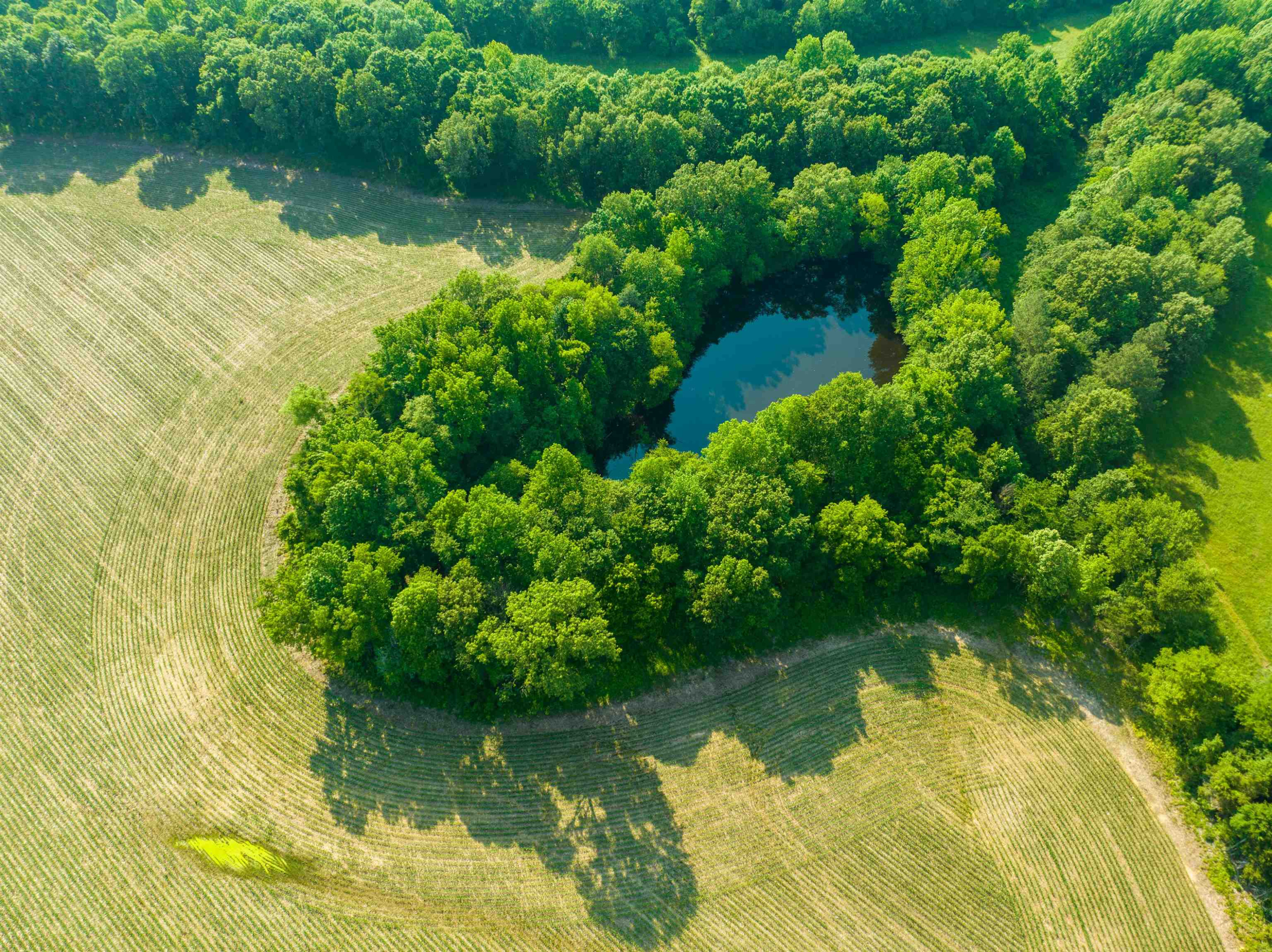 0 Bobbitt Road Medina, TN 38355 - Photo 10 of 39 Photo 10