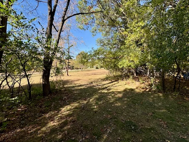 a view of a yard with an trees