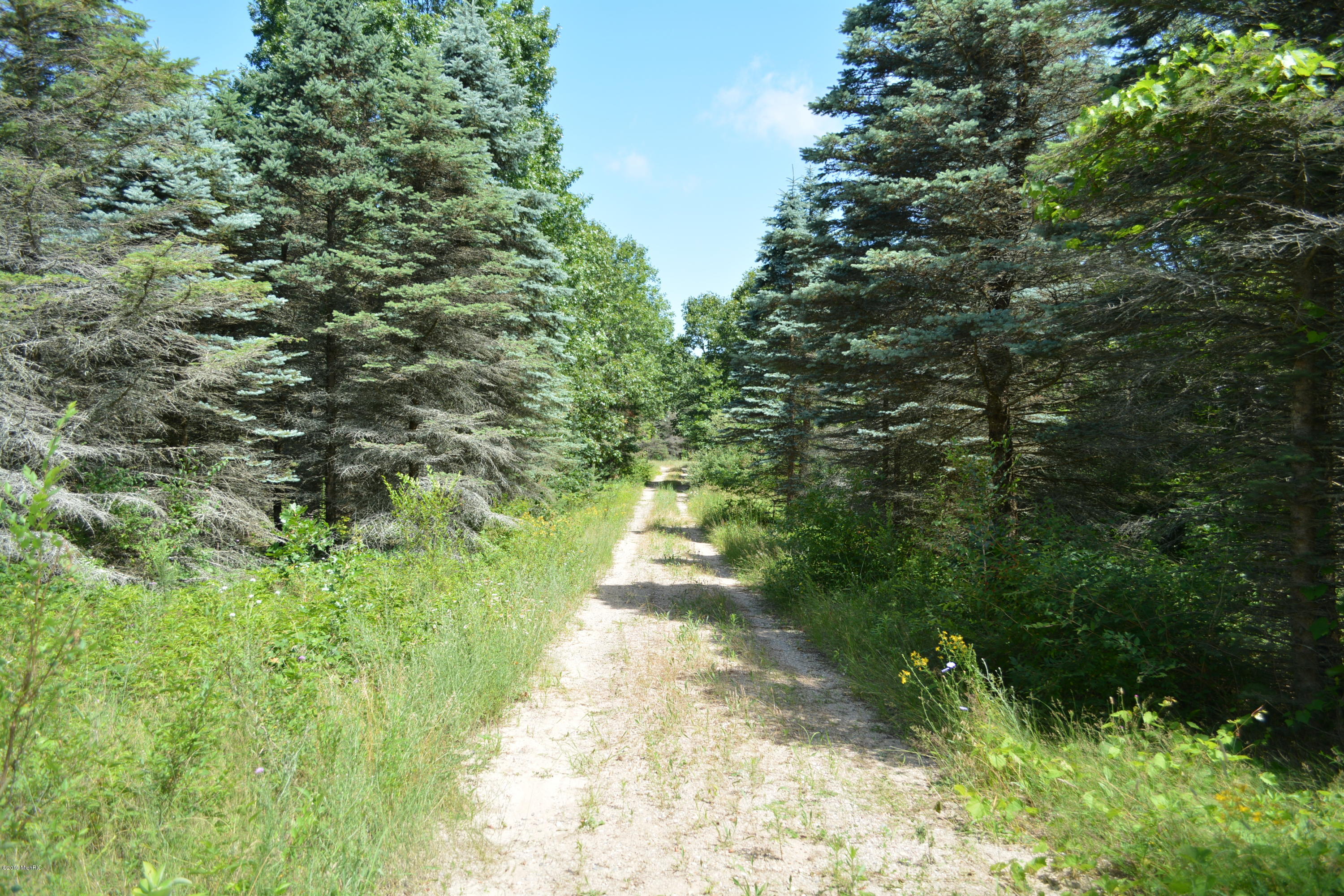 0 Belding Road Belding, MI 48809 - Photo 4 of 21 DSC_6681