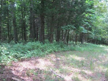 1354 Birdie Road Lawrenceburg, KY 40342 - Photo 19 of 55 Photo 19