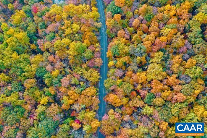 107 Chestnut Lane Roseland, VA 22967 - Photo 30 of 42 a view of flowers