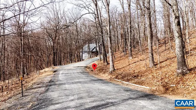 a park view with large trees