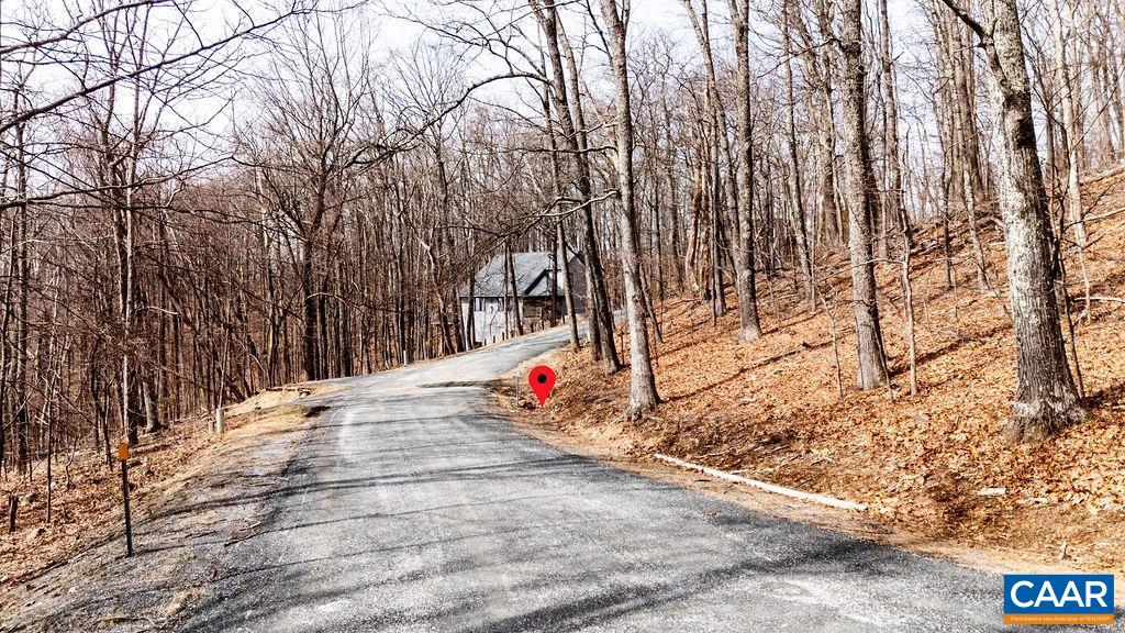 107 Chestnut Lane Roseland, VA 22967 - Photo 3 of 42 a park view with large trees
