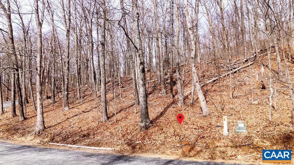 107 Chestnut Lane Roseland, VA 22967 - Photo 4 of 42 a picture of a yard