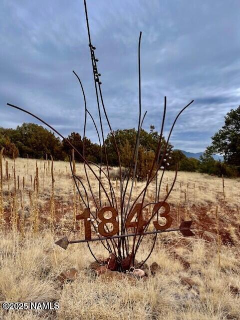 1843 East Sagebrush Road Williams, AZ 86046 - Photo 21 of 31 a view of yard and mountain