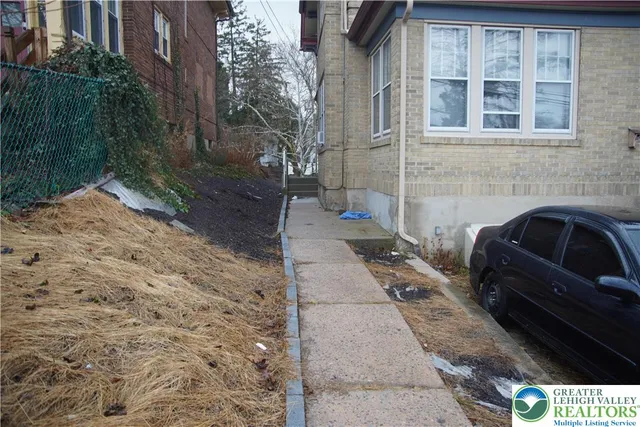 a street view with large trees