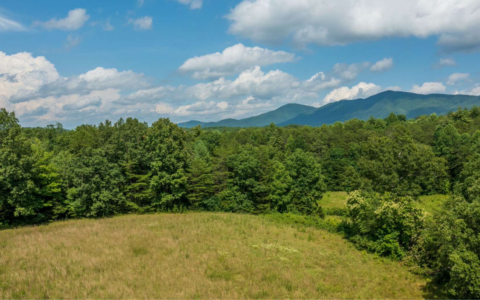 210 Hot Water Road Tellico Plains, TN 37385 - Photo 10 of 59 Additional View