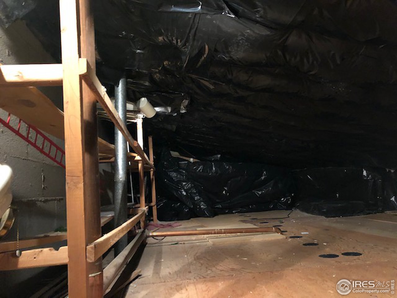 417 East Drake Road, Unit F4 Fort Collins, CO 80525 - Photo 23 of 23 View of attic space for storage