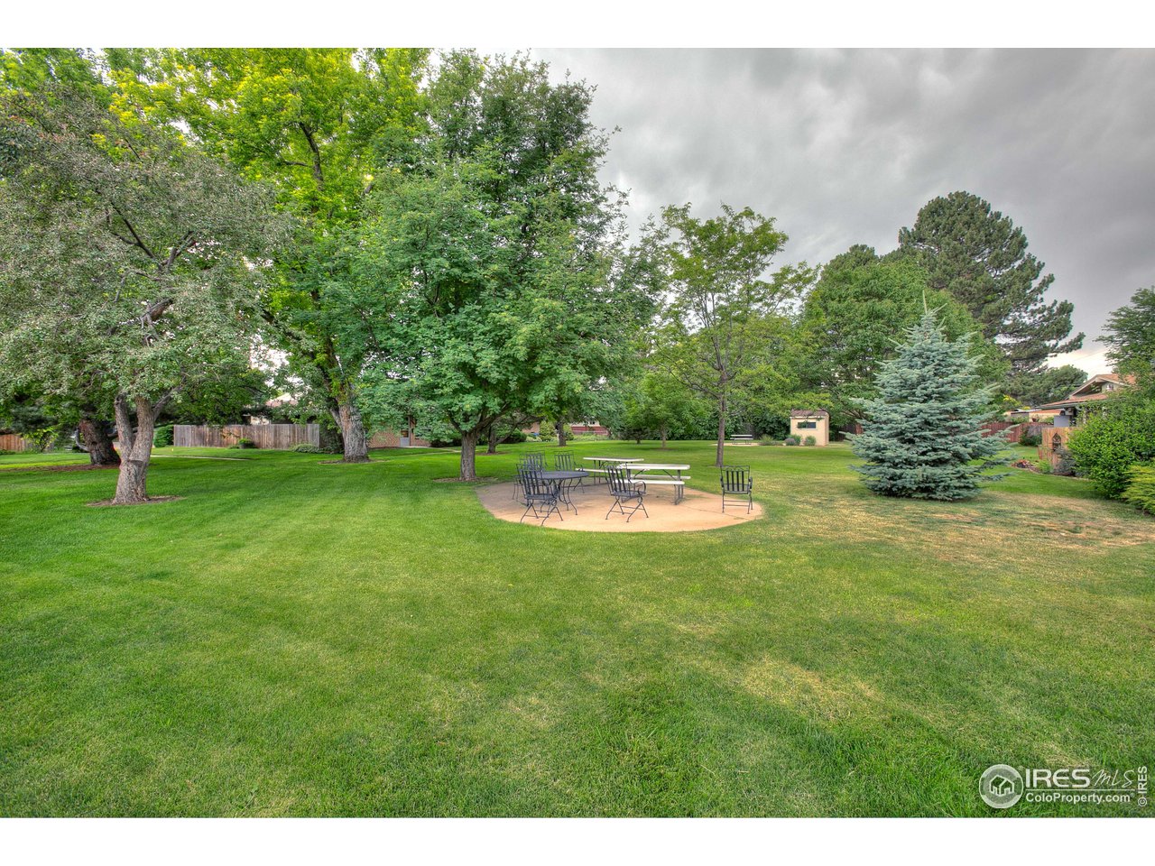 417 East Drake Road, Unit F4 Fort Collins, CO 80525 - Photo 5 of 23 Private courtyard between the buildings
