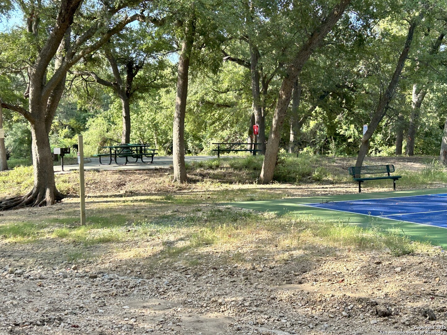 2126 Shepards Street Seguin, TX 78155 - Photo 17 of 20 a view of a yard with swimming pool