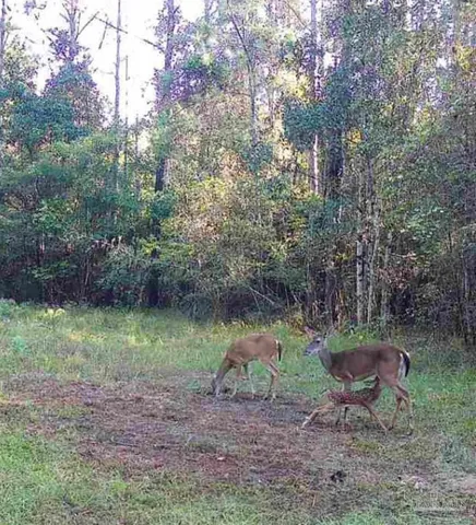 a backyard of a house with stainless steel appliances