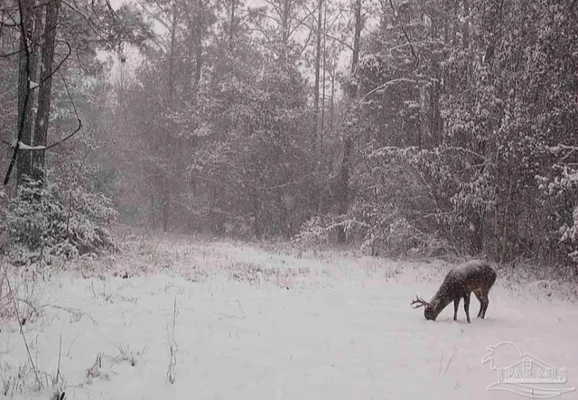 a view of water heater room