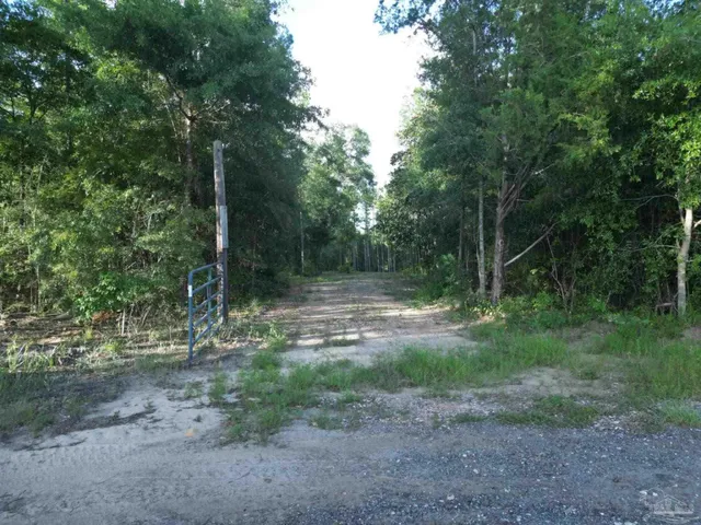 a view of a lake with a tree