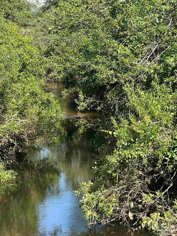 a view of outdoor space with trees all around
