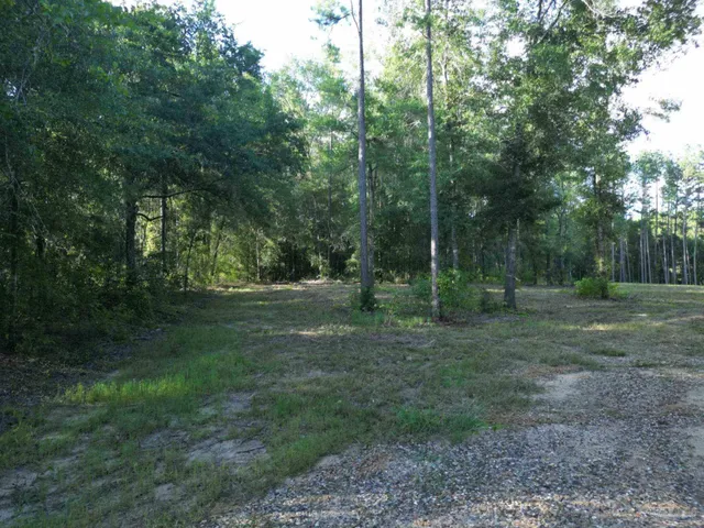 a view of a yard with trees in the background