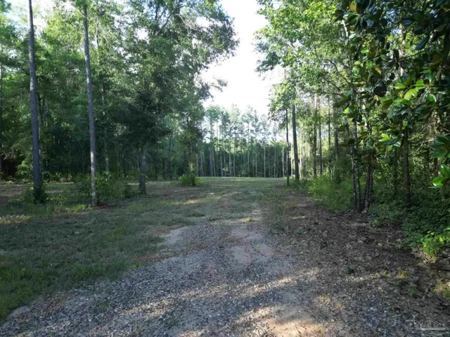 an aerial view of a lush green space with houses with trees all around