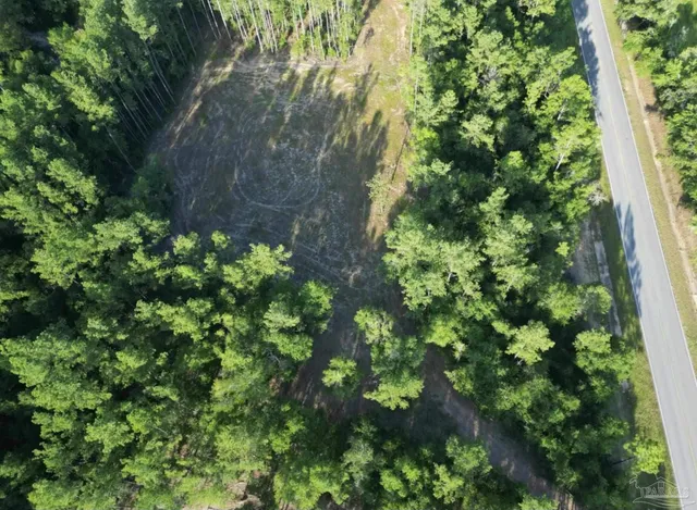 a view of a lake from a yard
