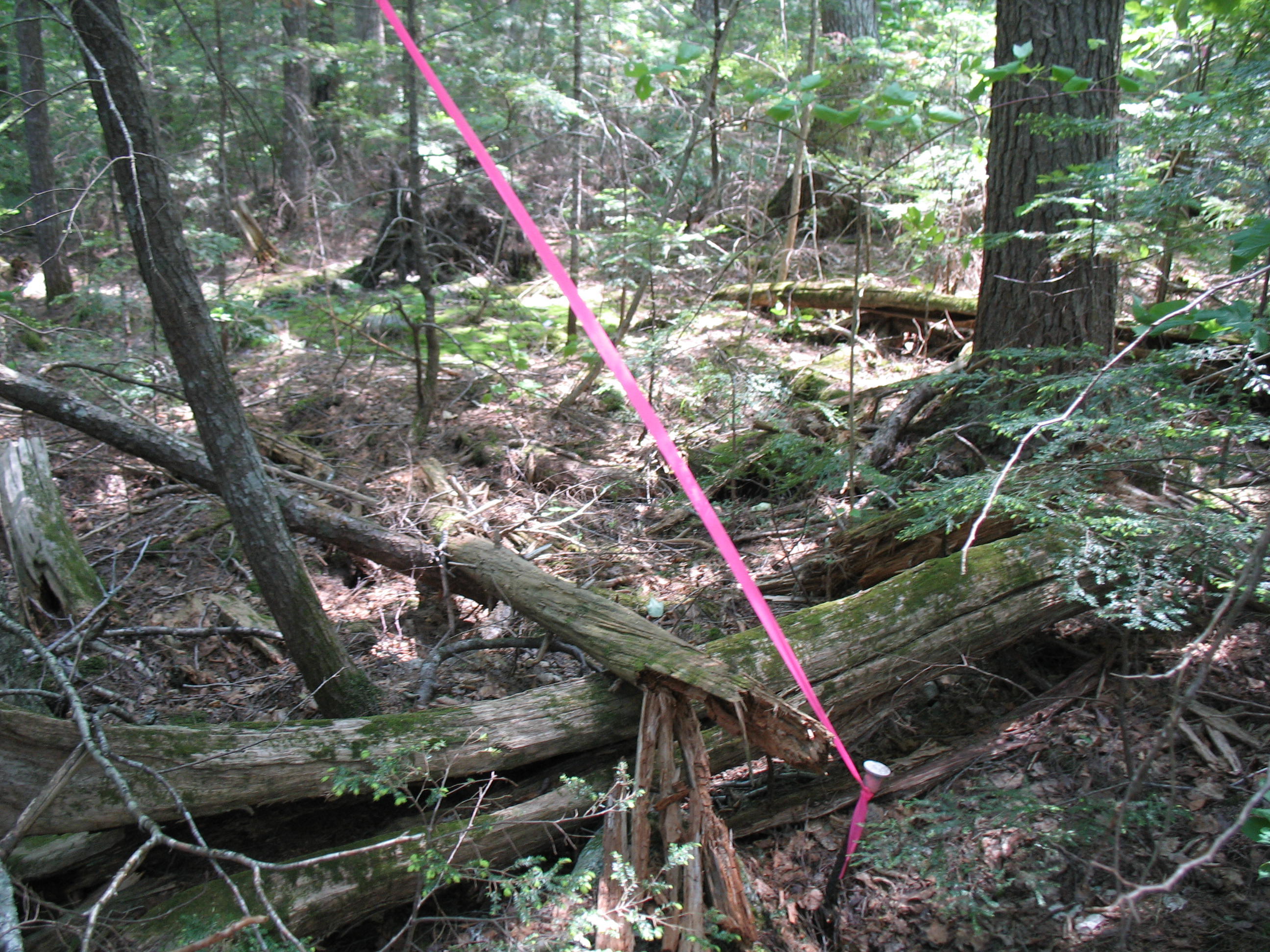 Lot 35 South Shore Road Abbot, ME 04406 - Photo 15 of 22 Whetstone Pond 005