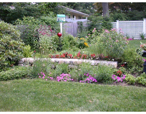 204 Chestnut Street Andover, MA 01810 - Photo 18 of 25 a bunch of flowers in the back yard