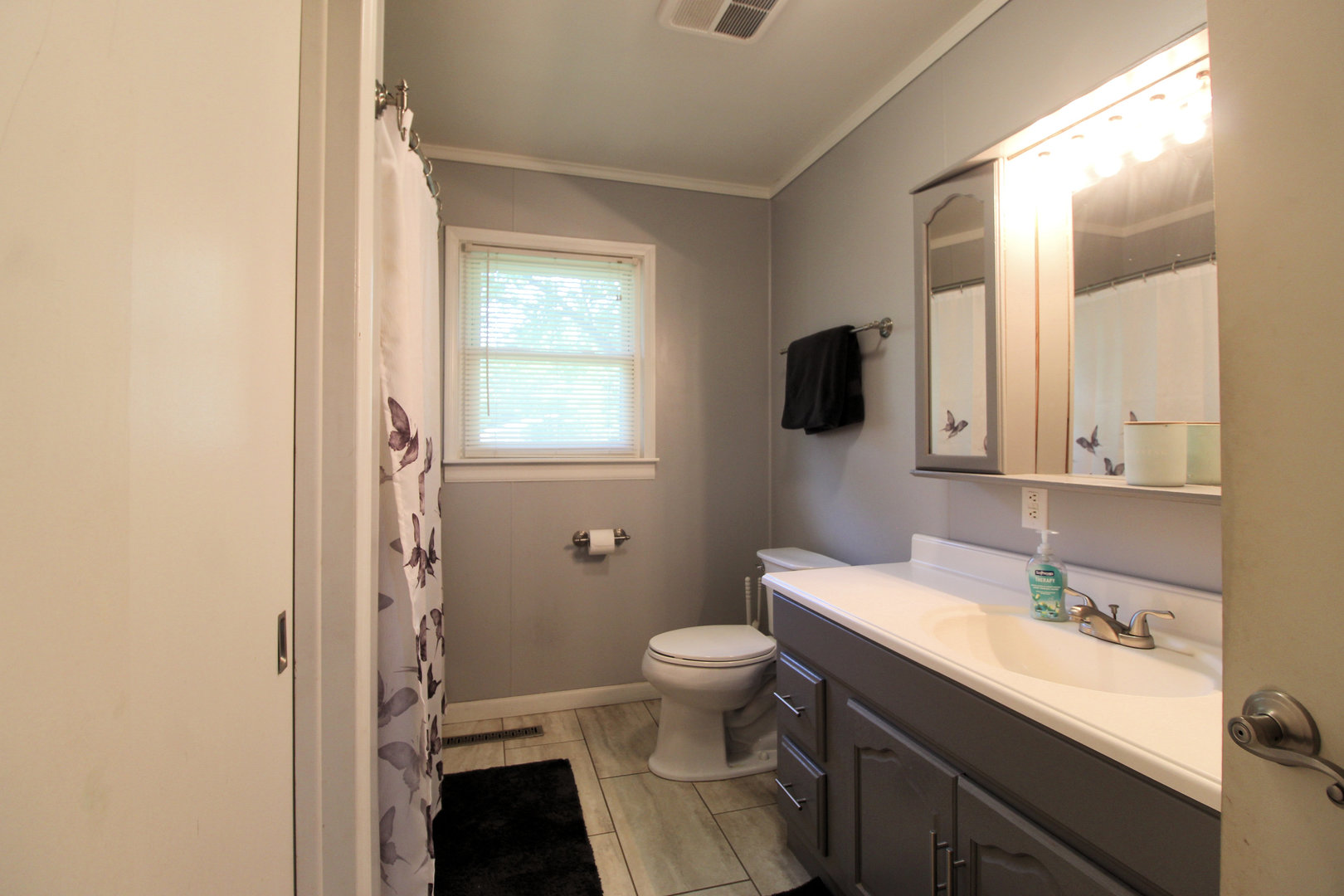2838 River Road Kankakee, IL 60901 - Photo 18 of 24 a bathroom with a sink a toilet a light fixture and mirror