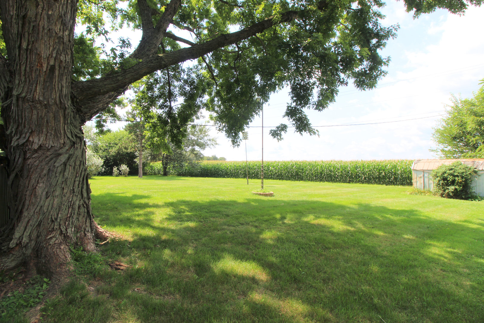 2838 River Road Kankakee, IL 60901 - Photo 23 of 24 a view of field with tall trees