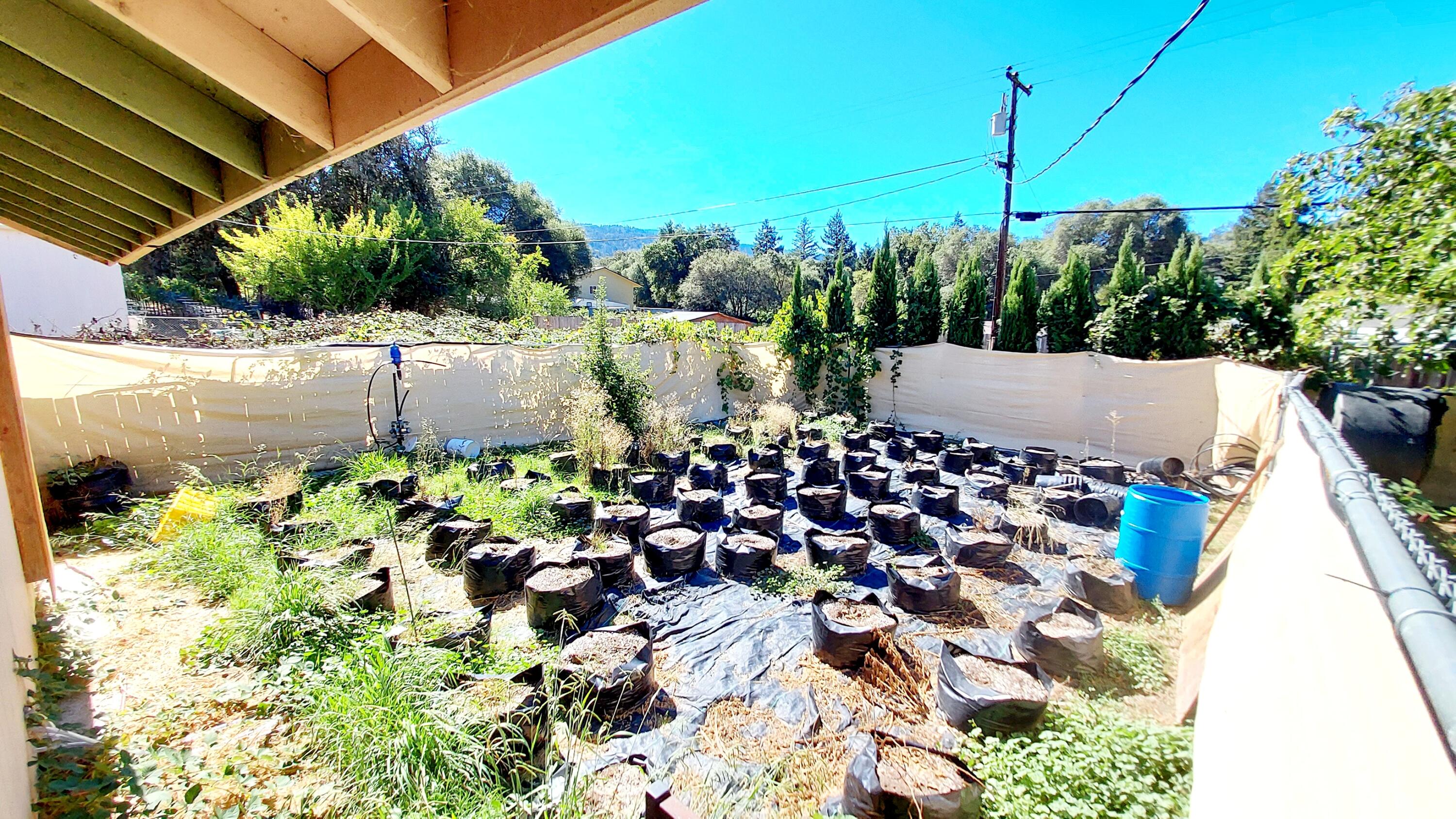 609 Steelhead Road Alderpoint, CA 95511 - Photo 51 of 58 Enclosed Backyard 1