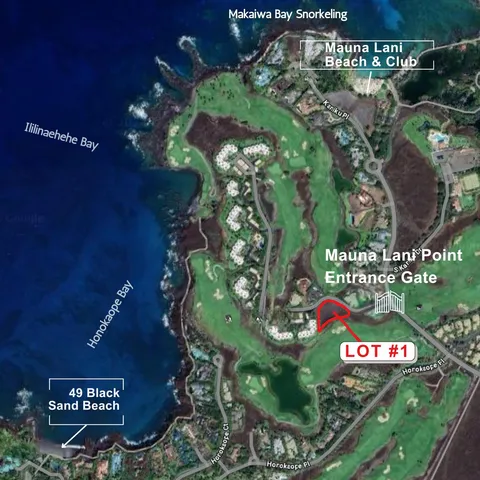 a sign that is on a tree