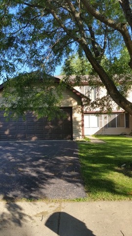 a backyard of a house with a yard and large trees