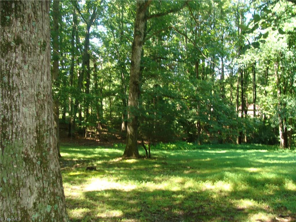 3057 King Billings Road Traphill, NC 28685 - Photo 10 of 30 Gallery Image 10